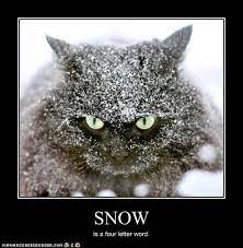 Snow Day Funny Quotes Quotesgram