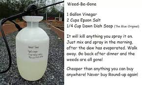 Diy Weed Killer Mak Copy Me That