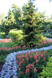 The Gardens At Queen Elizabeth Park Vancouver Queen Elizabeth Park Lush Garden Vancouver