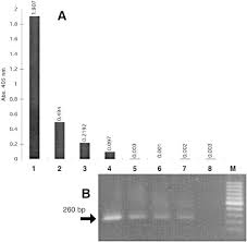 Tween modelleri ve ürünleri, en uygun fiyatlar ile hepsiburada.com'da. Immunocapture Reverse Transcription Polymerase Chain Reaction Combined With Nested Pcr Greatly Increases The Detection Of Prunus Necrotic Ring Spot Virus In The Peach Sciencedirect