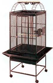 Bird Cage On Wheels For Sale New Parrot Bird Wrought Iron Cage 22x22x61h Playtop 4 Colors Available Black Vein Or Silver Vein Or Egg Shell Vein Or Gree Parrot Bird Large Bird Cages Wrought