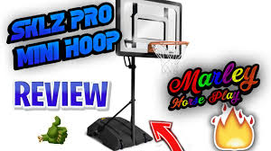 Review Sklz Pro Mini Hoop System Review Marley Youtube