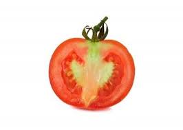 What you have described so aptly as white places under the skin are symptoms believed to be due to a toxin injected into the fruit when the stinkbug feeds. Tomatoes Not Ripe Inside Why Are Some Tomatoes Green Inside