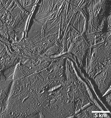 Image result for Blendtone Gray 1972 Hussmann