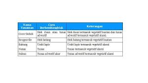 Check spelling or type a new query. Jawaban Tema 1 Kelas 6 Amati Gambar Berikut Ini Bagaimana Cara Tanaman Tersebut Berkembang Biak Halaman 2 Tribun Padang