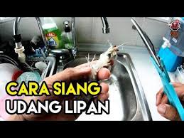 Akhir sekali masukkan bahan sayuran dan pecahkan telur. Pin On Tutorial Videos