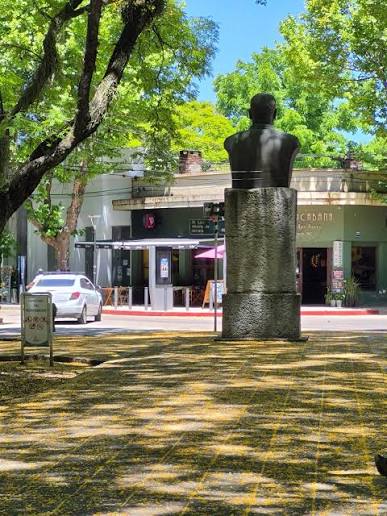 Una mujer de 52 años admitió haber simulado un robo con arma blanca en el centro