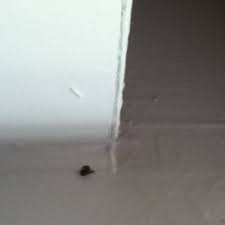 「http://thestudyofracialism.org/viewtopic.php?f step」的圖片搜尋結果