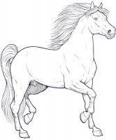 Disegni Cavalli Cavallo 1 Jpg Disegni Da Colorare Disegno Di Cavallo Pagine Da Colorare Per Adulti