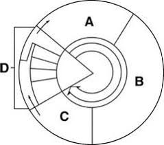 Pin On Learning Delivery Styles Curriculum