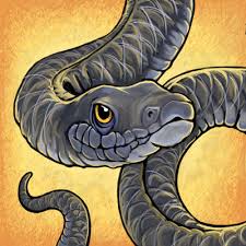 Image result for free blog pics of snakes in toilets