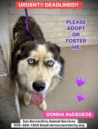 So beautiful 😍had to share