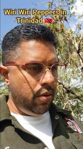 Unique 🇬🇾 Wiri Wiri Peppers Growing in Trinidad 🇹🇹 ChefJasonPeru