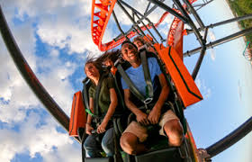 Florida Thrill Rides Roller Coasters Busch Gardens Tampa Bay