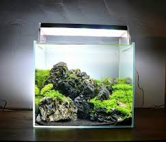 Acuario3web Acuario3web Twitter Aquascape Aquarium Aquarium Landscape Nano Aquarium
