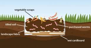 Check spelling or type a new query. How To Make A Worm Bed Lovetoknow