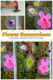 A flower is a special kind of plant part. Diy Nature Suncatcher Craft For Kids Where Imagination Grows