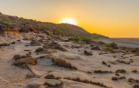 The drive from bhuj is an amazing route, i must admit. Dholavira Ancient Wonder Of Gujarat Worldatlas