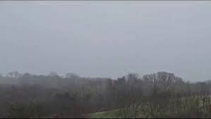 @themonk1967's video Tweet