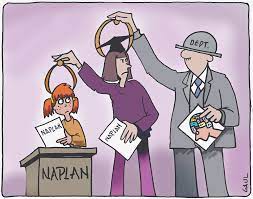 Success in an ever changing environment. The Pathology Of Naplan New South Wales Teachers Federation