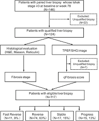 advanced septa size quantitation determines the evaluation