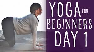 She has easy, beginner friendly videos. Yoga For Beginners At Home 30 Min Vinyasa Flow Youtube