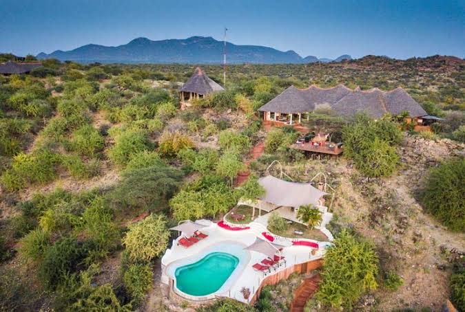 Sasaab | luxury eco lodge » The Safari Collection
