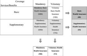 Basic life coverage can be seen as the purest form of a life policy, and that is a traditional term life insurance policy. Supplementary Health Insurance As A Tool For Risk Selection In Mandatory Basic Health Insurance Markets Health Economics Policy And Law Cambridge Core