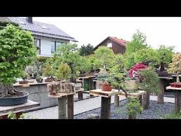 Bonsai Garten Munchen Youtube Bonsai Garden Bonsai Trees For Sale Bonsai