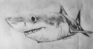 Maybe you would like to learn more about one of these? Great White Shark Pencil Drawing