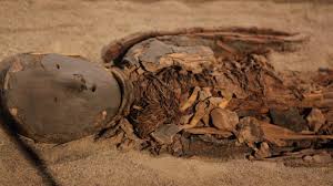 Las momias chinchorro se descomponen debido al cambio climático, por lo que actualmente investigadores de la universidad de tarapacá (chile), liderados por sergio medina parra, abogan para que los restos humanos sean clasificados como patrimonio de la humanidad por la unesco, con el. Hmsvmxdaxsf9sm