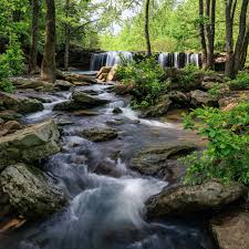 Michael Rung Photography added...