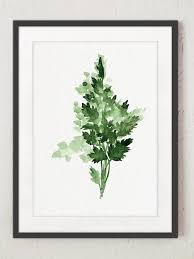 peinture abstraite de jardin persil plat feuille verte persil print art decoration murale arbres en aquarelle illustration effet aquarelle peinture abstraite