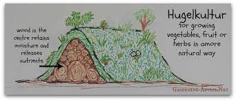 Hugelkultur is a composting method that uses large pieces of rotting wood as the centerpiece for. Hugelkultur Raised Beds And Why You Need One
