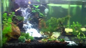 Aquascape, mengekspos keindahan dunia air. Cara Membuat Air Terjun Untuk Aquarium Aquascape Youtube