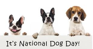 National pet day is april 11, although if you're a pet owner, you know there's not a day that goes by that you don't celebrate your animal companion! Inspirational National Dog Day 2019 Quotes In English