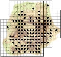 Image result for Searsia pyroides