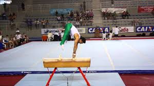 A ginástica é uma prática esportiva que se divide em dois tipos, as ginásticas competitivas e as não competitivas. Petrix Barbosa Cavalo Com Alcas Brasileiro 2013 Youtube
