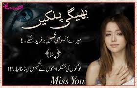 Pin On Sad Urdu Shayari