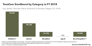 Breaking Down Tenncares Block Grant Proposal