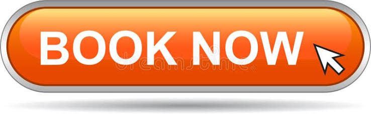 Book Now Icon Web Button Orange Stock Vector - Illustration of bestseller, buttons: 118048262
