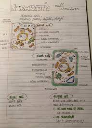 Check spelling or type a new query. Pin By Girl Guccii On Study Notes Medical School Motivation Science Notes Biology Teacher