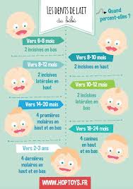 Infographies Les Differentes Etapes De Bebe Blog Hop Toys Selle vélo blanche en imitation cuir avec rivets vieux vélo de course. blog hop toys