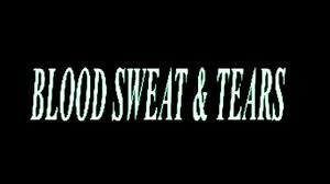 Kelime ve terimleri çevir ve farklı aksanlarda sesli dinleme. Ava Max Blood Sweat Tears Official Lyric Video Youtube