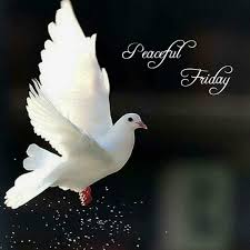 Pin By Beautiful Days On Birds Dove Pictures Good Morning Good Morning Quotes