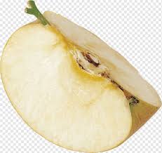 Pada tahap sketsa kita gunakan pensil dan penghapus, proses ini masih ringan, kita buat semua bagian gambar secara. Apel Buah Apel Grafik Komputer 3d Makanan Buah Png Pngwing