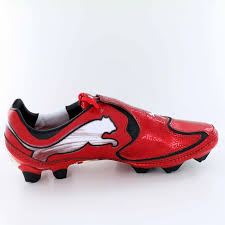 Image result for Puma 10