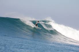 Drew Worthy (@drew.worthy) • Instagram photos and videos