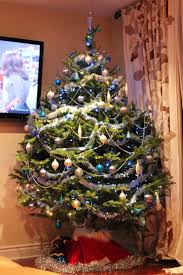 Animalele Din Casa Si Bradul De Craciun Cum Salvam Ambele Parti