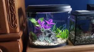 Explore fin posts on pholder | see more posts about bettafish, aquariums and if it weren't for the subtle clip on the top fin (and the location), i would have thought this was a. Top Fin 2 6 Gallon Fish Tank Unboxing By A Bettapet